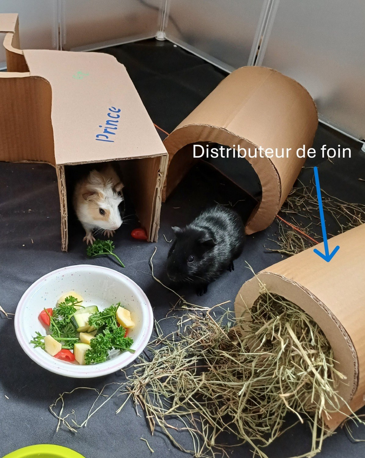 distributeur de foin