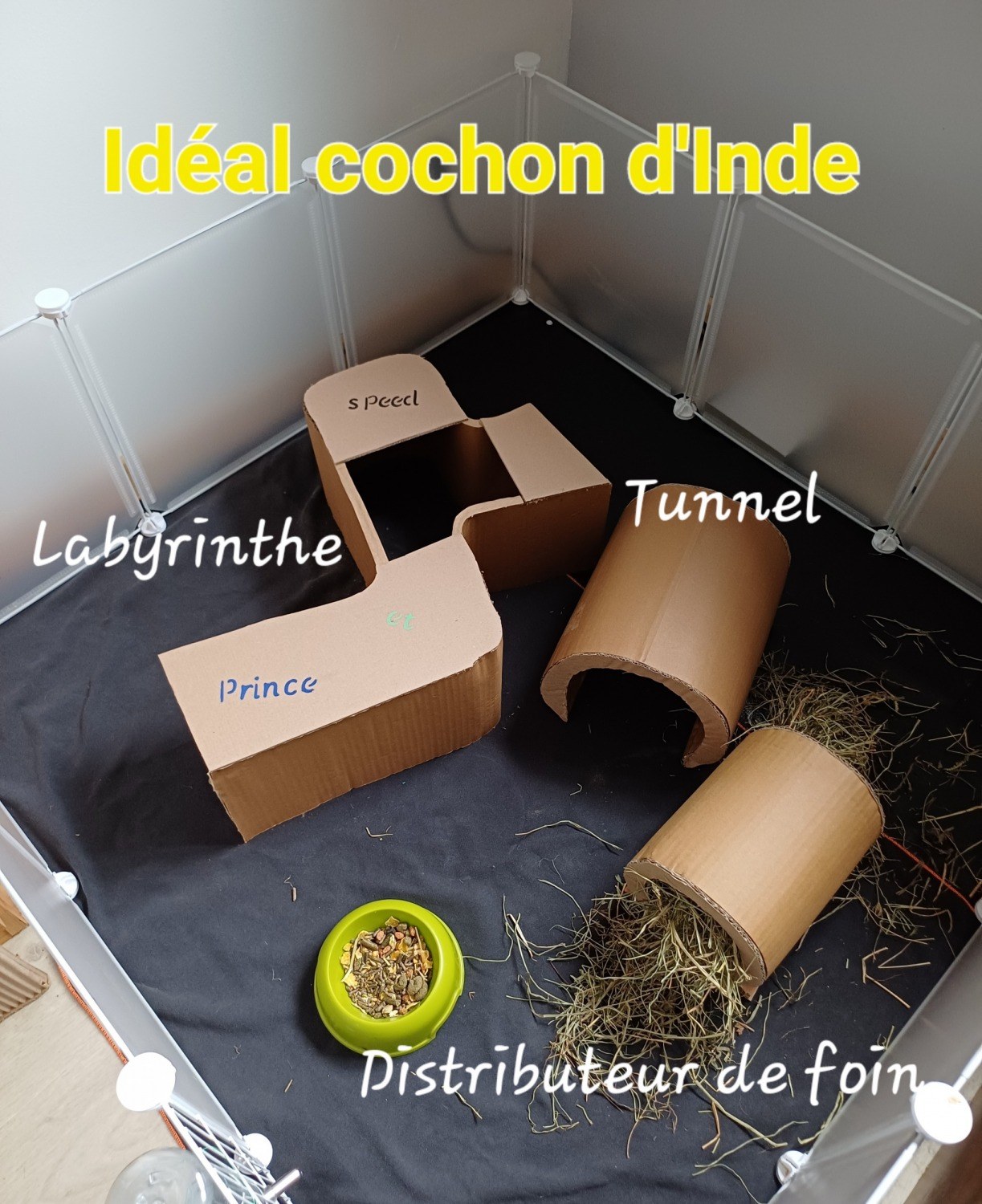 distributeur de foin