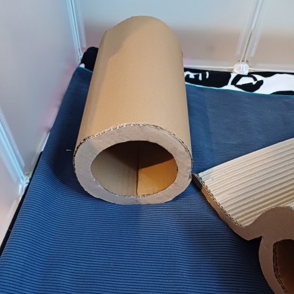 cylindre cochon d'Inde