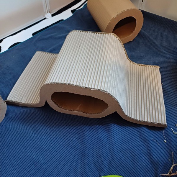 Rampe pour cochon d'inde